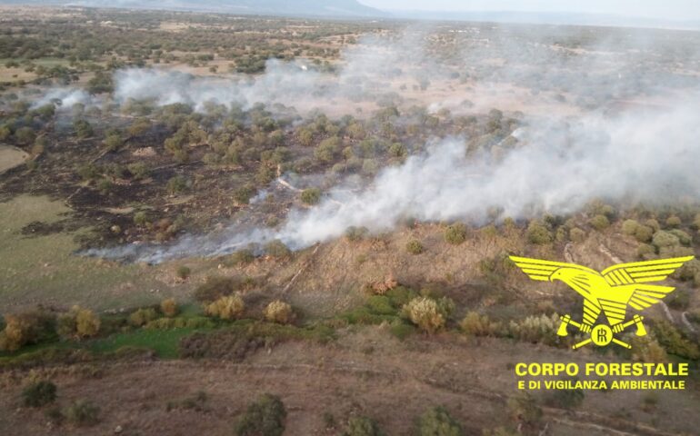 incendio sardegna
