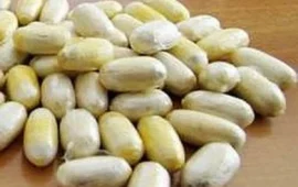 ovuli di cocaina