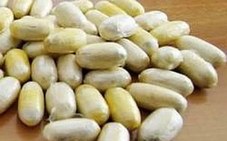 ovuli di cocaina