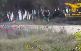 Il piromane con il monopattino