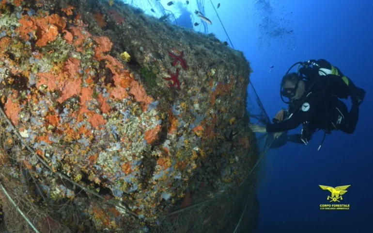 reti da pesca a torre delle stelle