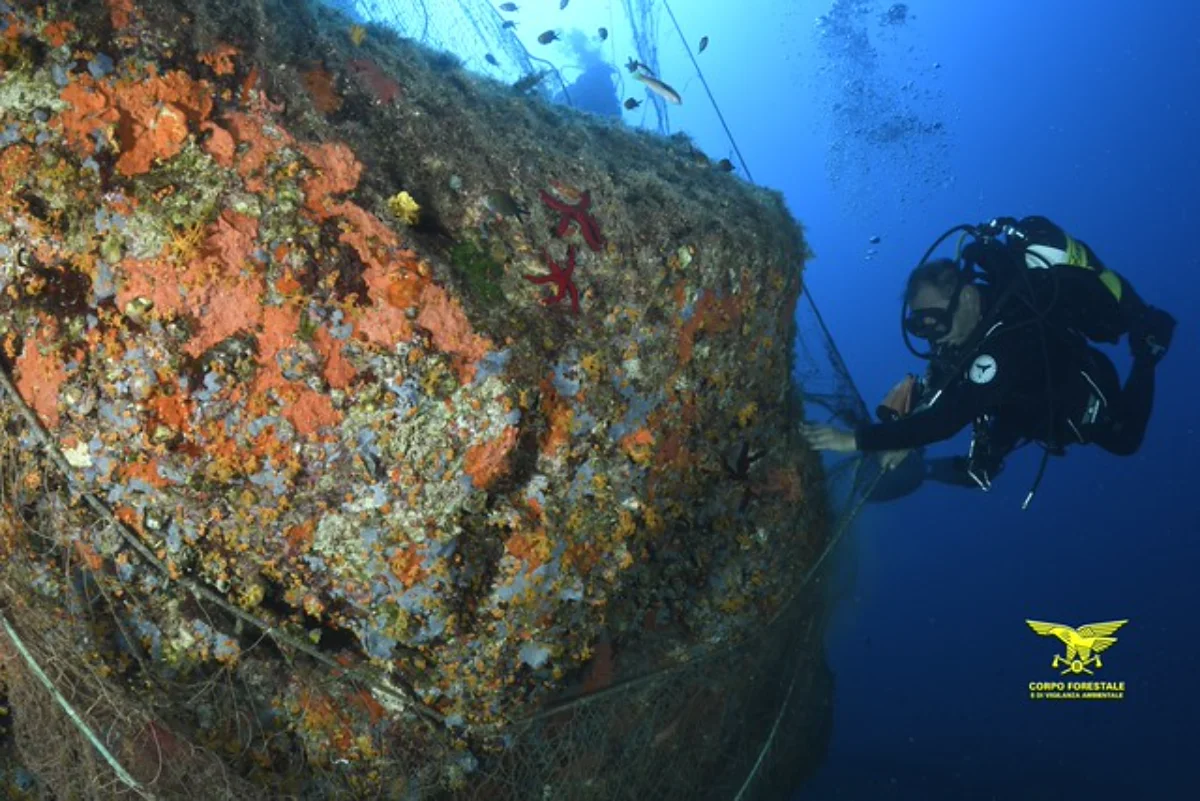 reti da pesca a torre delle stelle