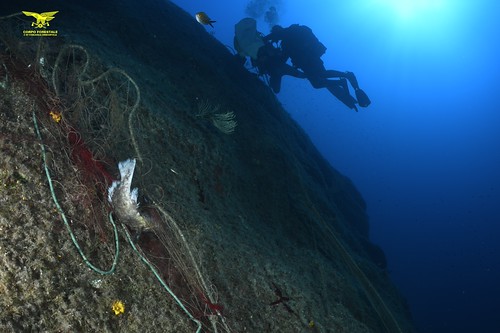 reti da pesca a torre delle stelle