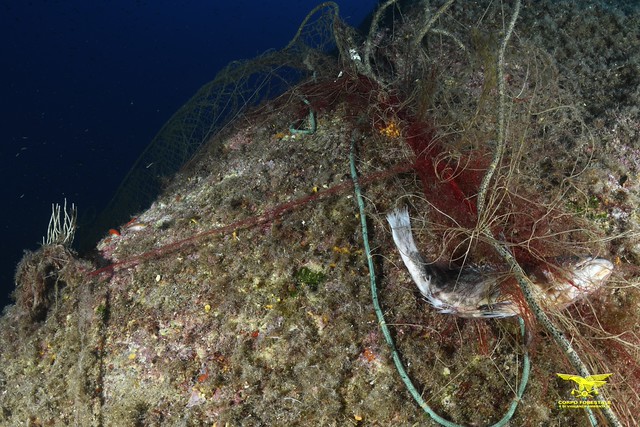 reti da pesca a torre delle stelle