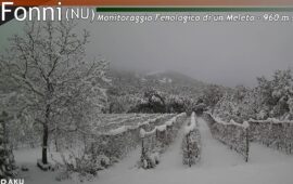 Sardegna, risveglio d’inverno: l’isola sorprende tutti sotto una fitta nevicata