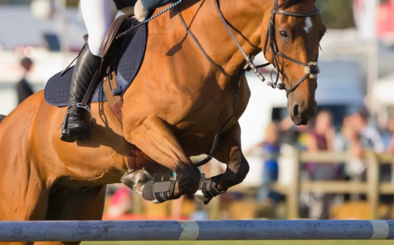 Capoterra in festa per Sophie Tola, vicecampionessa alla Fiera Cavalli di Verona