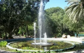 L’Orto Botanico di Cagliari compie 159 anni: un polmone verde nel cuore della città