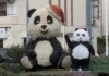 Panda di Natale a Quartu