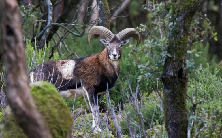 parco sette fratelli