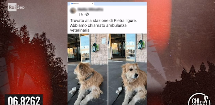 uomo scomparso col suo cane