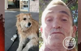 Spariti da Cagliari: di Renè non si hanno più notizie, Magic, il suo cane, riappare da solo in Liguria