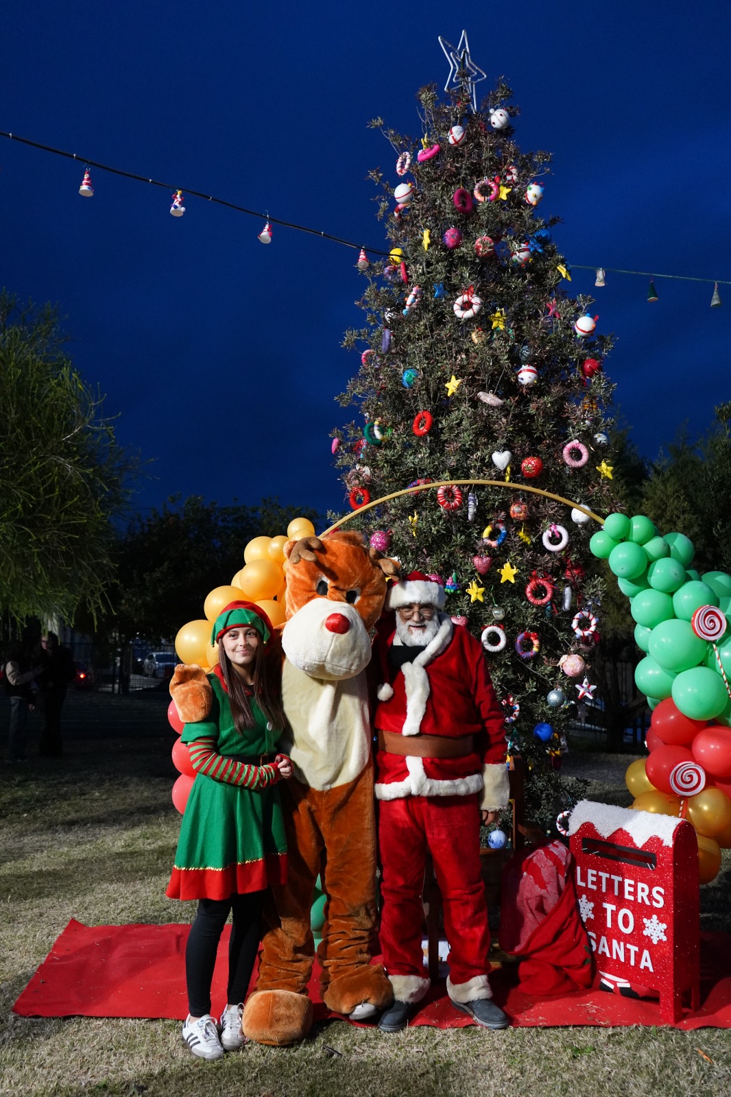 Inaugurazione dell'albero di Settimo San Pietro