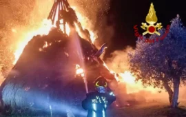 Incendio distrugge uno storico pinneto nelle campagne di Marrubiu