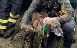 cani salvatio villassalto PH Vigili del fuoco