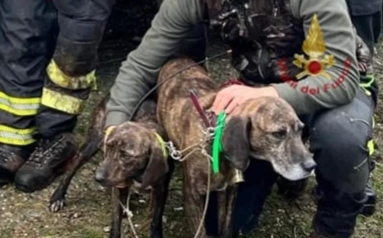 cani salvatio villassalto PH Vigili del fuoco