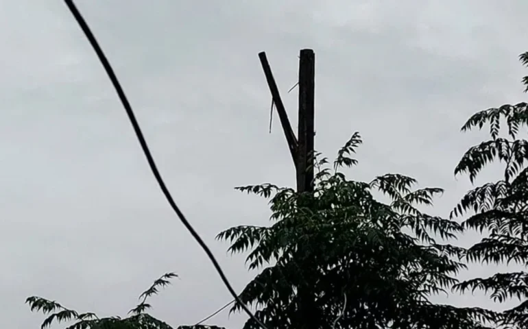 albero spaccato dal fulmine a san sperate