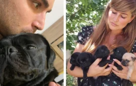 Cesare, il cane di Bartolini: le volontarie smentiscono il racconto dell’atleta, “abbiamo accudito noi mamma e cuccioli”