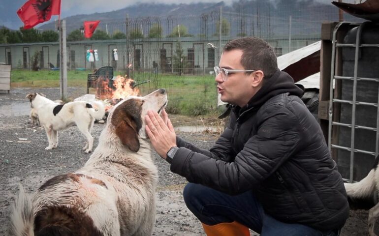 “Al criminale vanno subito sequestrate armi e munizioni”: Rizzi denuncia il cacciatore che ha ucciso un cane a Badesi