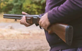 Orrore a Badesi: cacciatore spara e uccide un cane dentro una proprietà privata