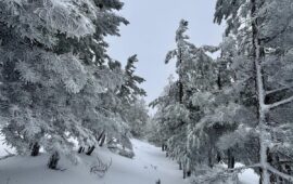 Neve sul Gennargentu, il meteorologo Tidili: “La montagna non deve venire incontro alle nostre comodità”