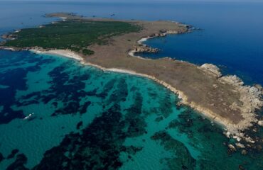 L'isola di Mal di Ventre