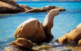 Quando il vento crea e gli uomini distruggono: la roccia a forma di tartaruga e la sua storia sfortunata