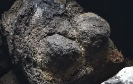 La scoperta della “Dea Madre” nel nuraghe a Villanova Truschedu: la parola ad Andrea Mulas