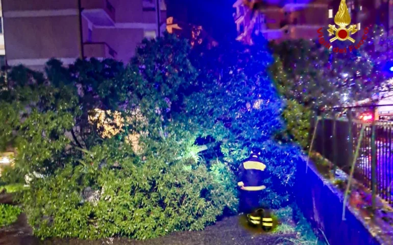 Interventi maltempo Vigili del Fuoco