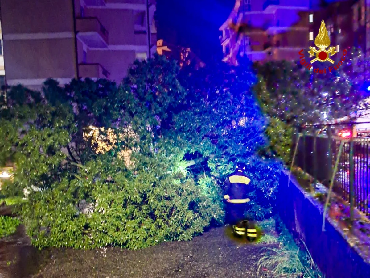 Maltempo in Sardegna, oltre 150 interventi dei Vigili del Fuoco