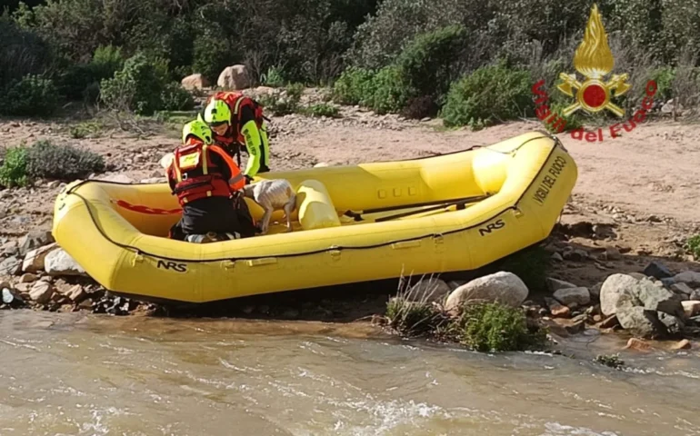 Cani da caccia dispersi sul Monte Arcosu: intervento a lieto fine dei Vigili del fuoco