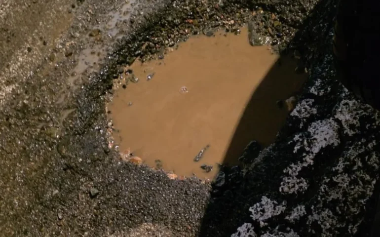 Selargius, Riccardo Cioni denuncia le condizioni pericolose di via Don Bosco