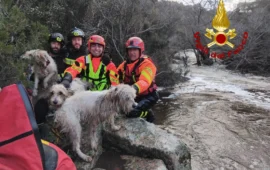 Aggius, intrappolati dalla furia dell’acqua dopo le grandi piogge: tre cani salvati dai Vigili del Fuoco