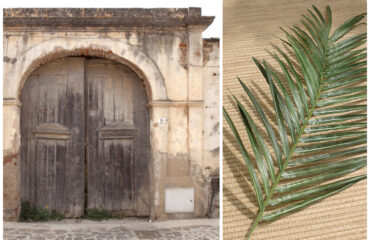 Una casa campidanese e una palma