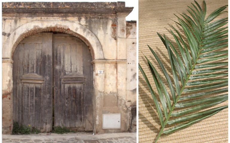 Una casa campidanese e una palma