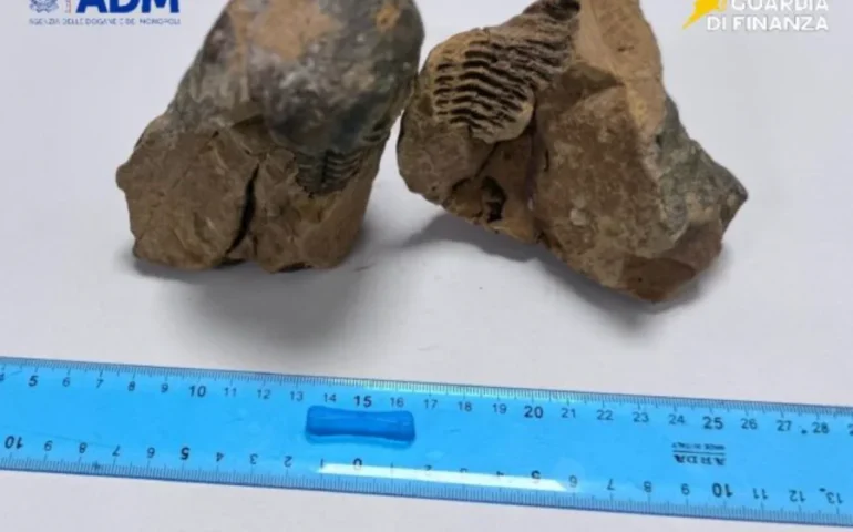 Prezioso fossile nascosto nel bagaglio a mano: sequestro all’aeroporto di Alghero