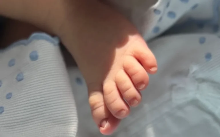 È nato il figlio di Francisco Porcella: l’annuncio sui social con una tenera foto