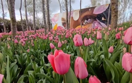 “Mi hai salvato la vita”: scopre di avere un tumore ovarico grazie alle foto del Giardino di Lu. Il racconto di Maria Fois