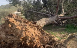 La Sardegna nella morsa della furia del maestrale: dal Nord al Sud è allerta massima