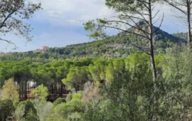 Tragedia a Carbonia: ritrovato il cadavere di un uomo tra le fiamme al parco Rosmarino