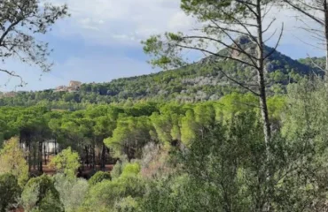 parco rosmarino carbonia