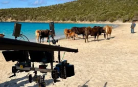 Il regista Riccardo Milani dedica un messaggio di speranza e solidarietà alla Sardegna dopo il maltempo