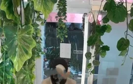 “Pizze ordinate e conto non pagato”: lo sfogo del ristorante Gustum di Cagliari contro il cliente in fuga