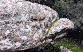 In Sardegna c’è una roccia che sembra un pinguino addormentato: sapete dove si trova?