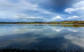 Lo spettacolo di Su Stani Saliu: dopo le piogge, lo stagno di Serdiana rinasce e si popola di fenicotteri