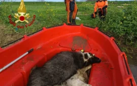 Maltempo in Sardegna: oltre mille interventi dei Vigili del Fuoco