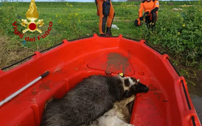 PH Vigili del Fuoco, maltempo Sardegna