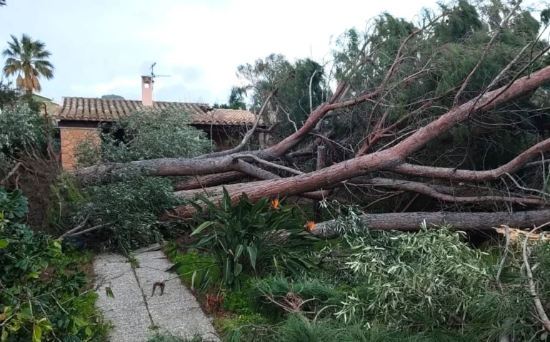 alberi caduti a villasimius