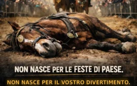 Oristano, l’animalista Enrico Rizzi interviene sulla morte del cavallo alla Sartiglia: “Il vostro folklore uccide”