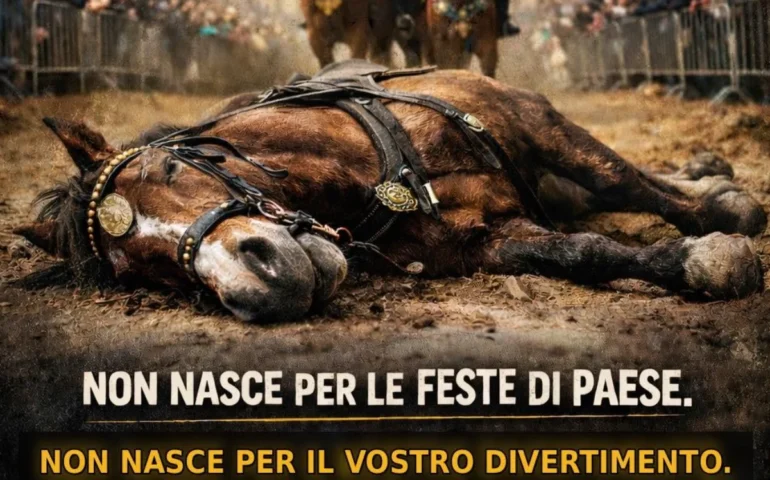 Oristano, l’animalista Enrico Rizzi interviene sulla morte del cavallo alla Sartiglia: “Il vostro folklore uccide”