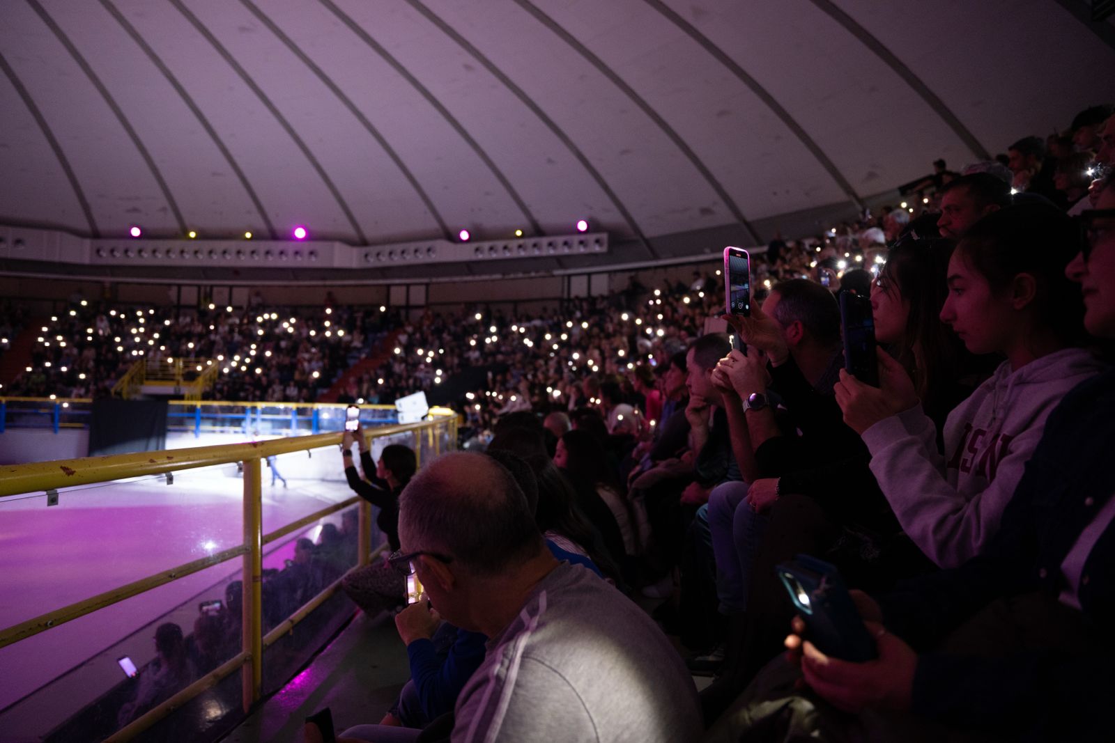 flamingo roller show